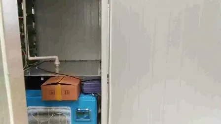 200 kg/Tag Hydropnic Sojasprossen-Anbausystem